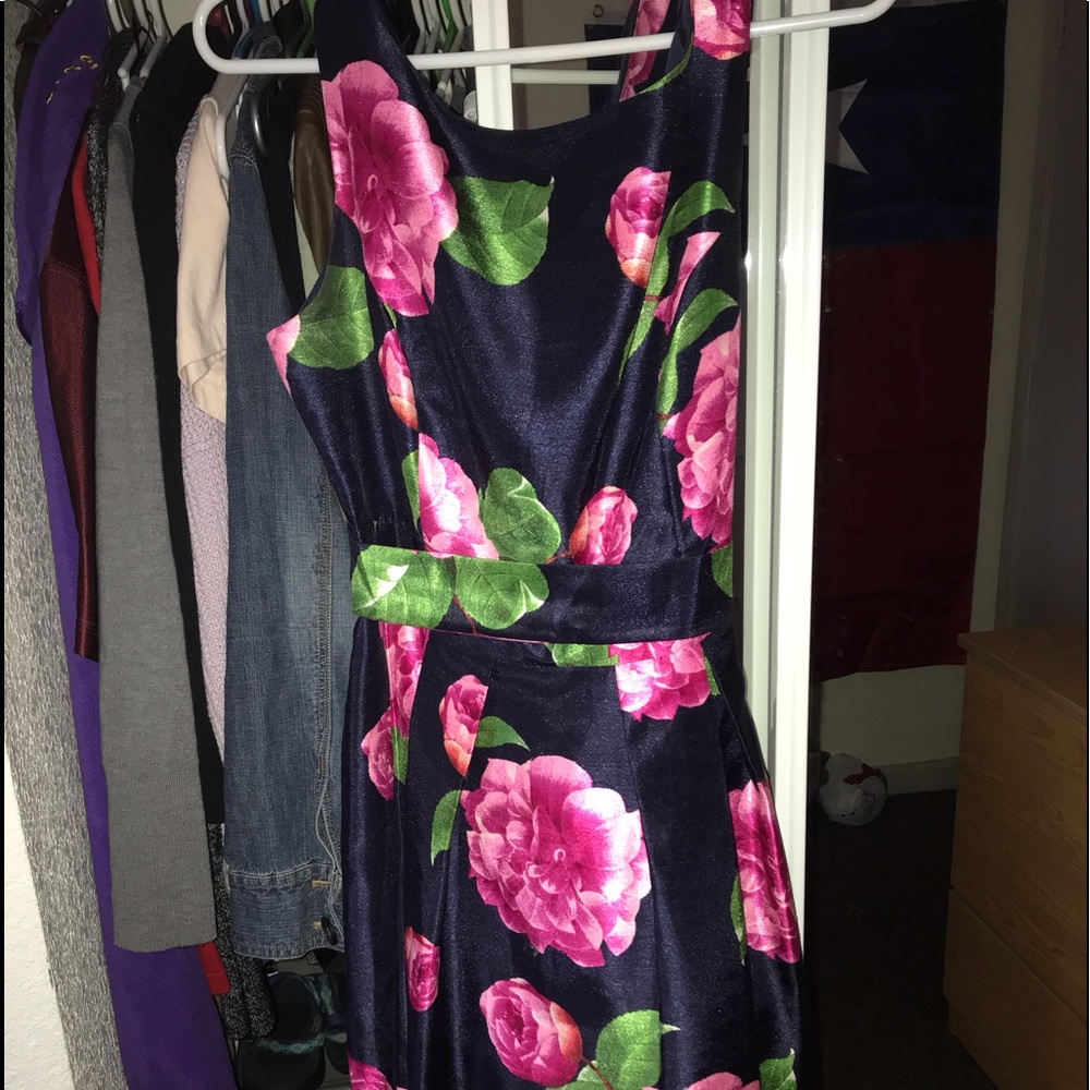Blue/Pink Floral Dress